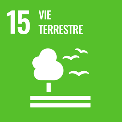 Logo Massnahmen zum Klimaschutz