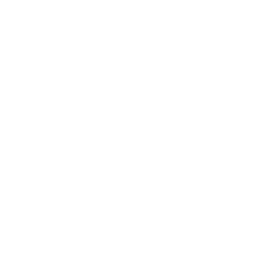 Pfeil Logo