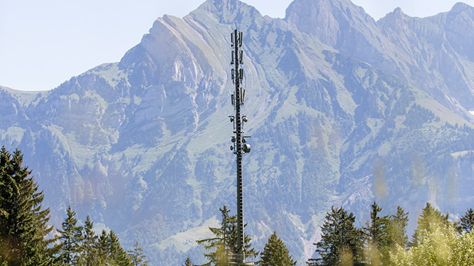 A mobile phone mast between trees in front of a mountain panorama