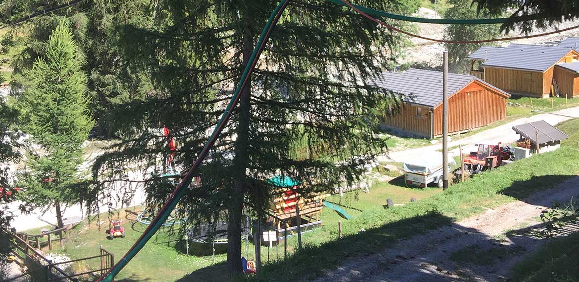 Schlauch um Bäume verlegt