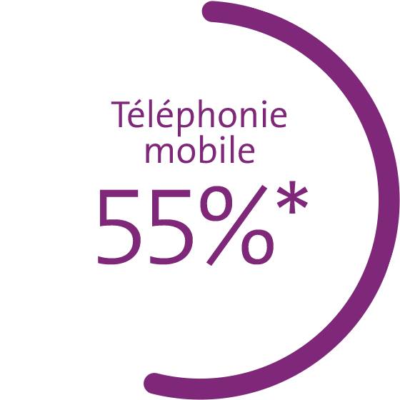 Le graphique montre les parts de marché en pour cent: téléphonie mobile 55%*, haut débit 50%, télévision 39%.