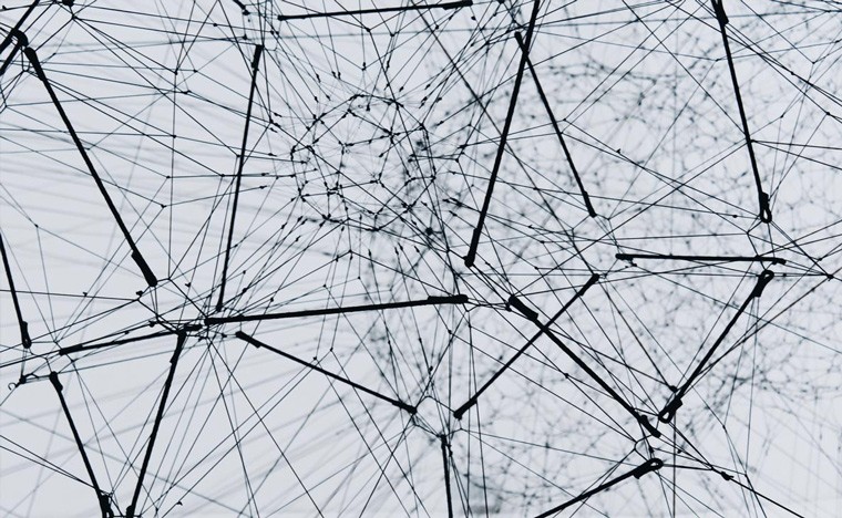 Network of black lines