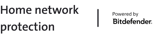 Home network protection