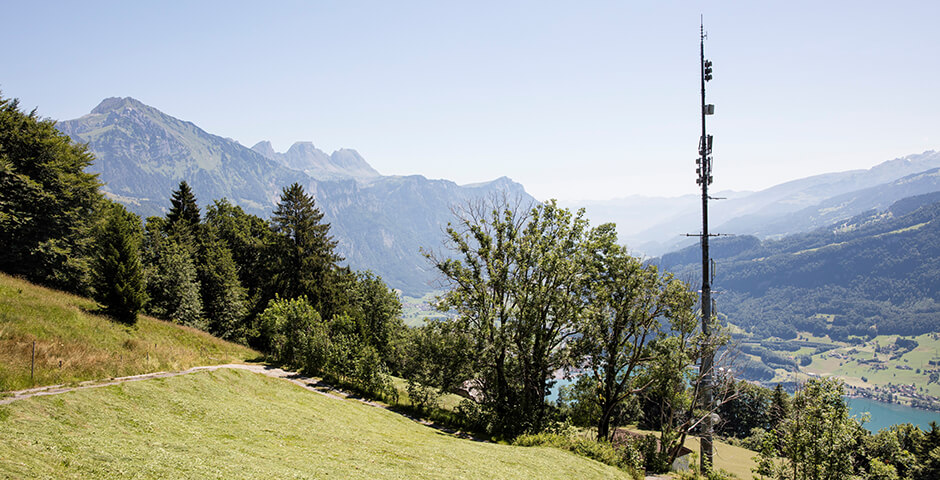 Handymast auf Bergwiese