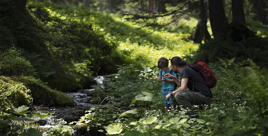 Man walking through nature with his child