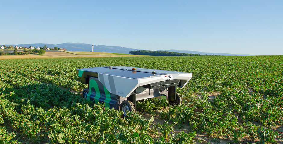Roboter auf dem Feld