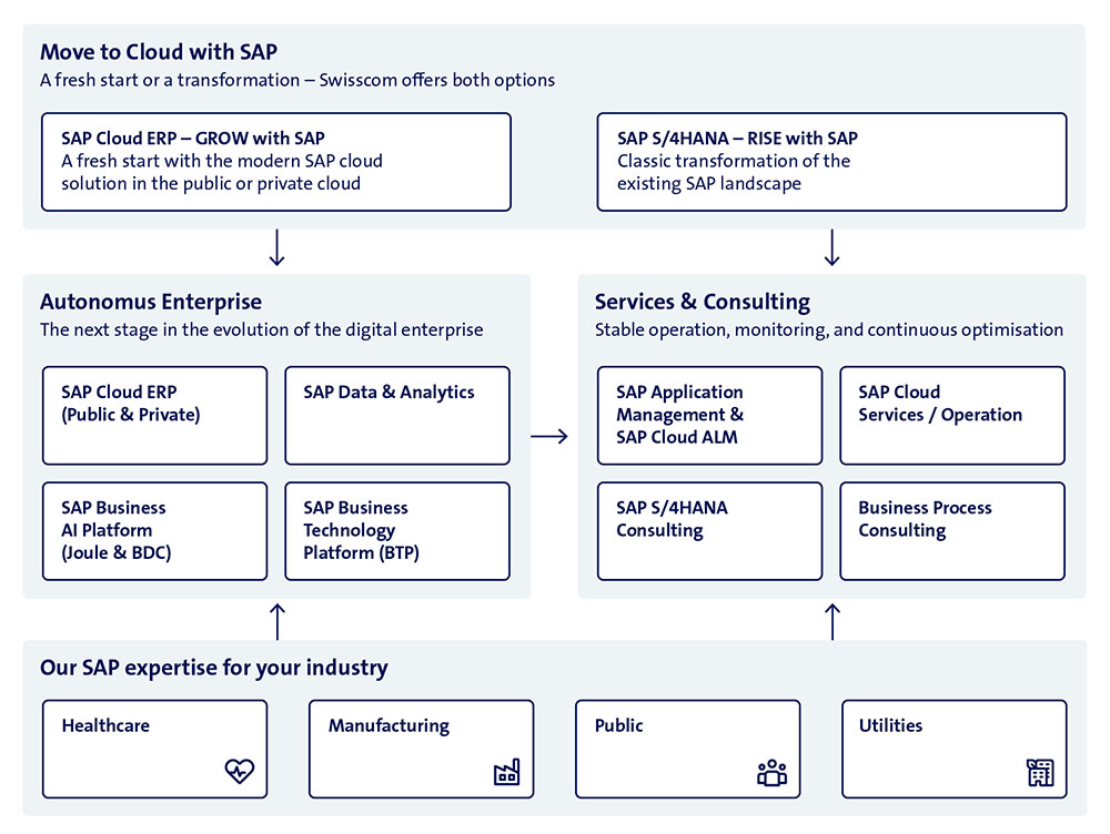 Grafik SAP Services