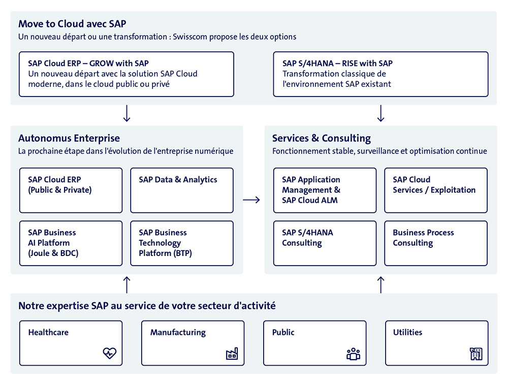 Grafik SAP Services