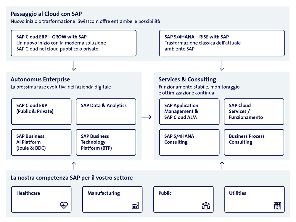 Grafik SAP Services